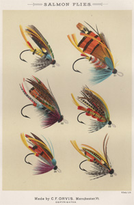 ANTIQUE PRINT OF FISHING FLIES FROM 1892